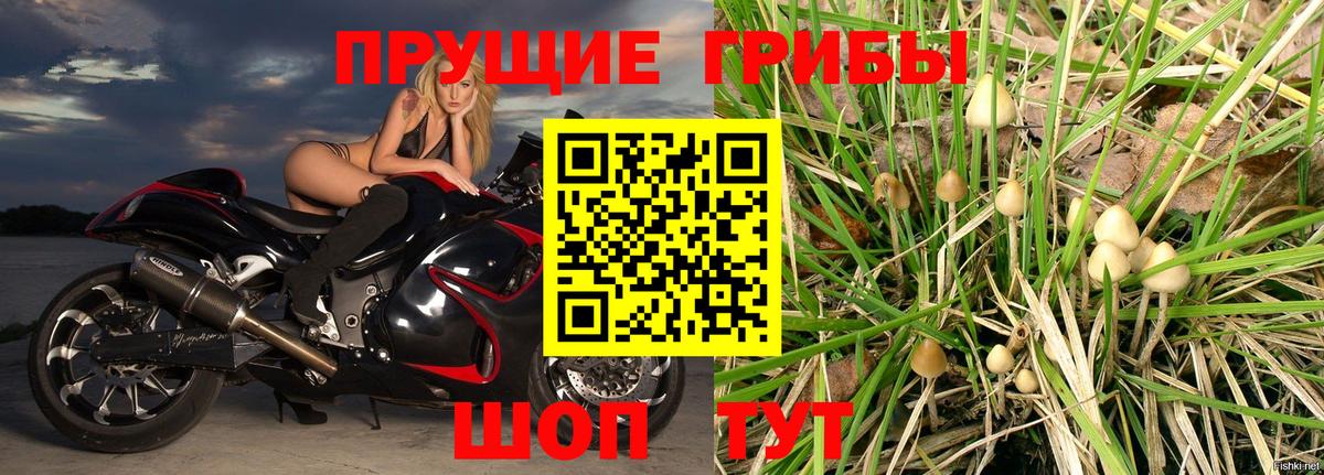 Галлюциногенные грибы MAGIC MUSHROOMS  Вход с VPN  Миасс 