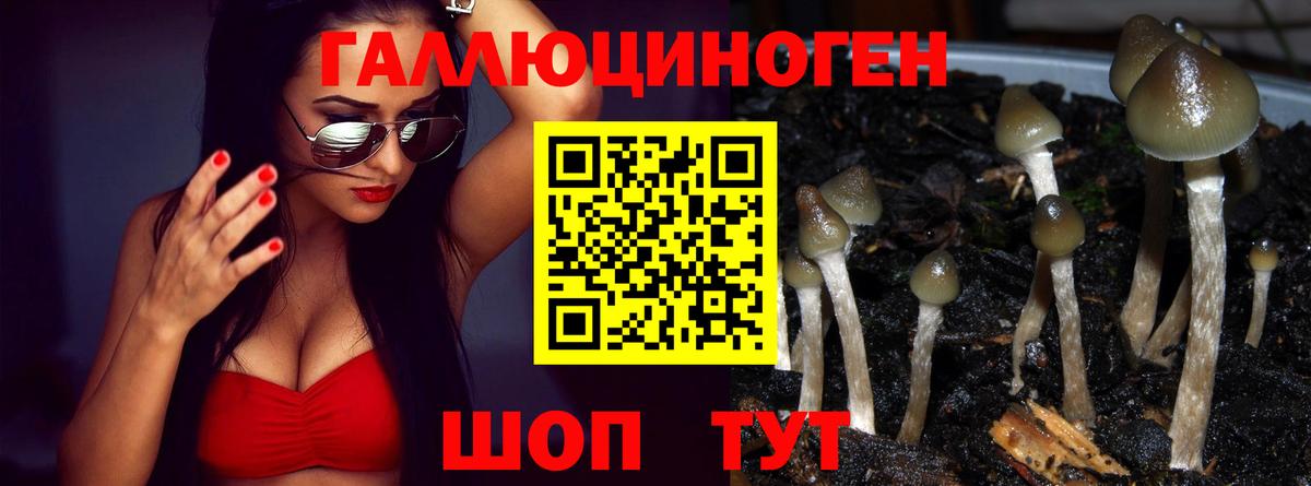 Галлюциногенные грибы мицелий Миасс